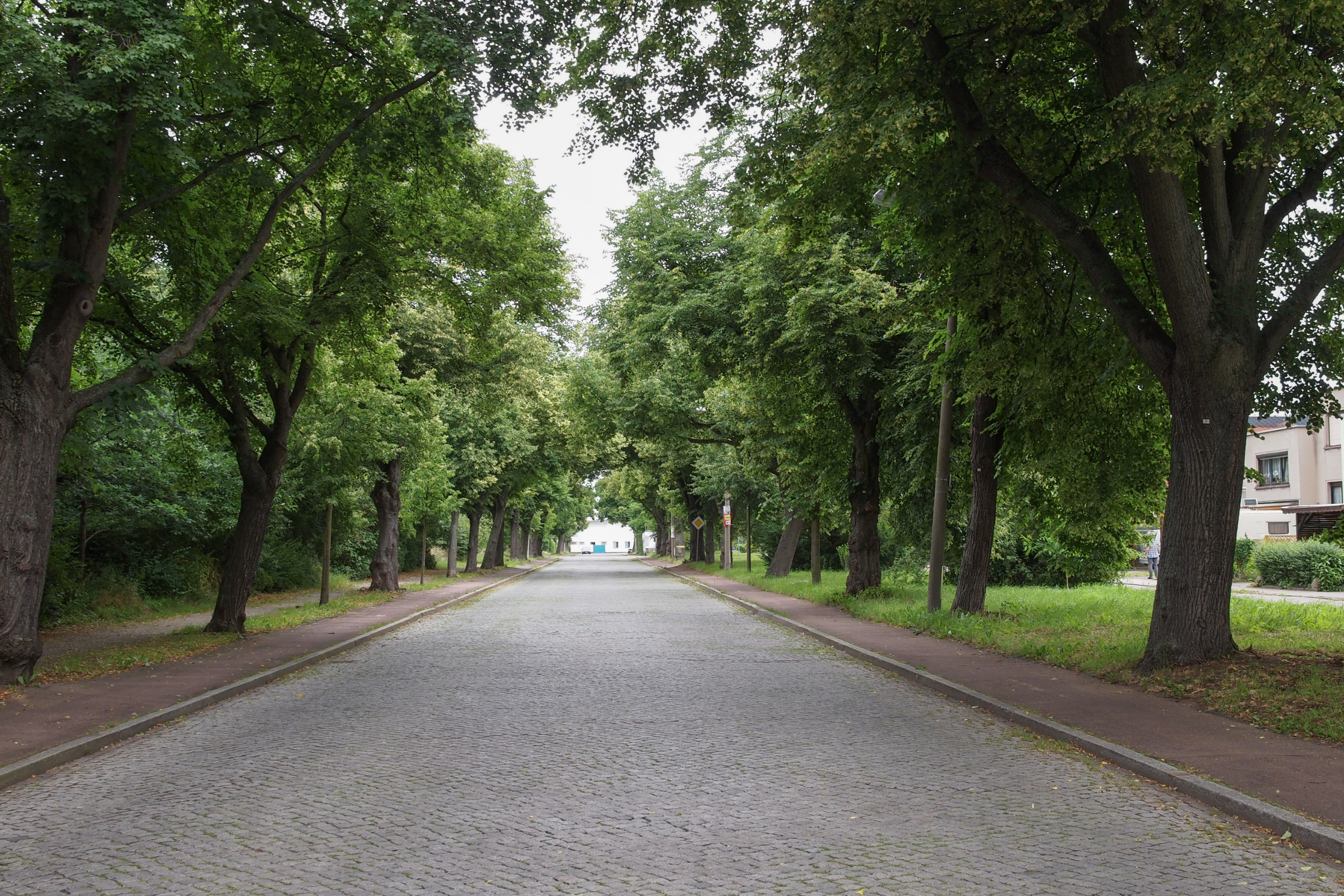 82 dessau-rosslau.webp